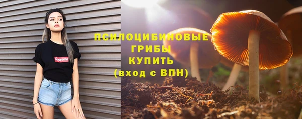 гидропоника Алзамай