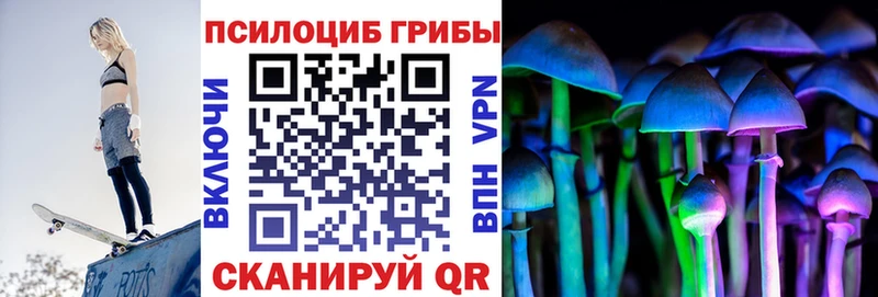 блэк спрут tor  Удачный  Псилоцибиновые грибы мицелий  цены наркотик 